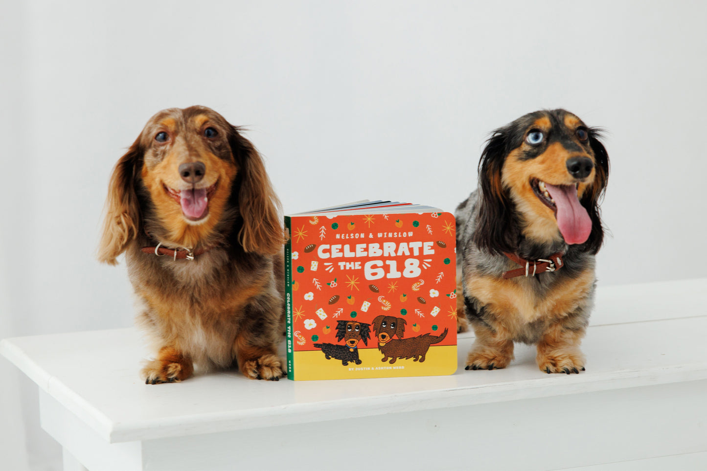 Celebrate the 618 Board Book