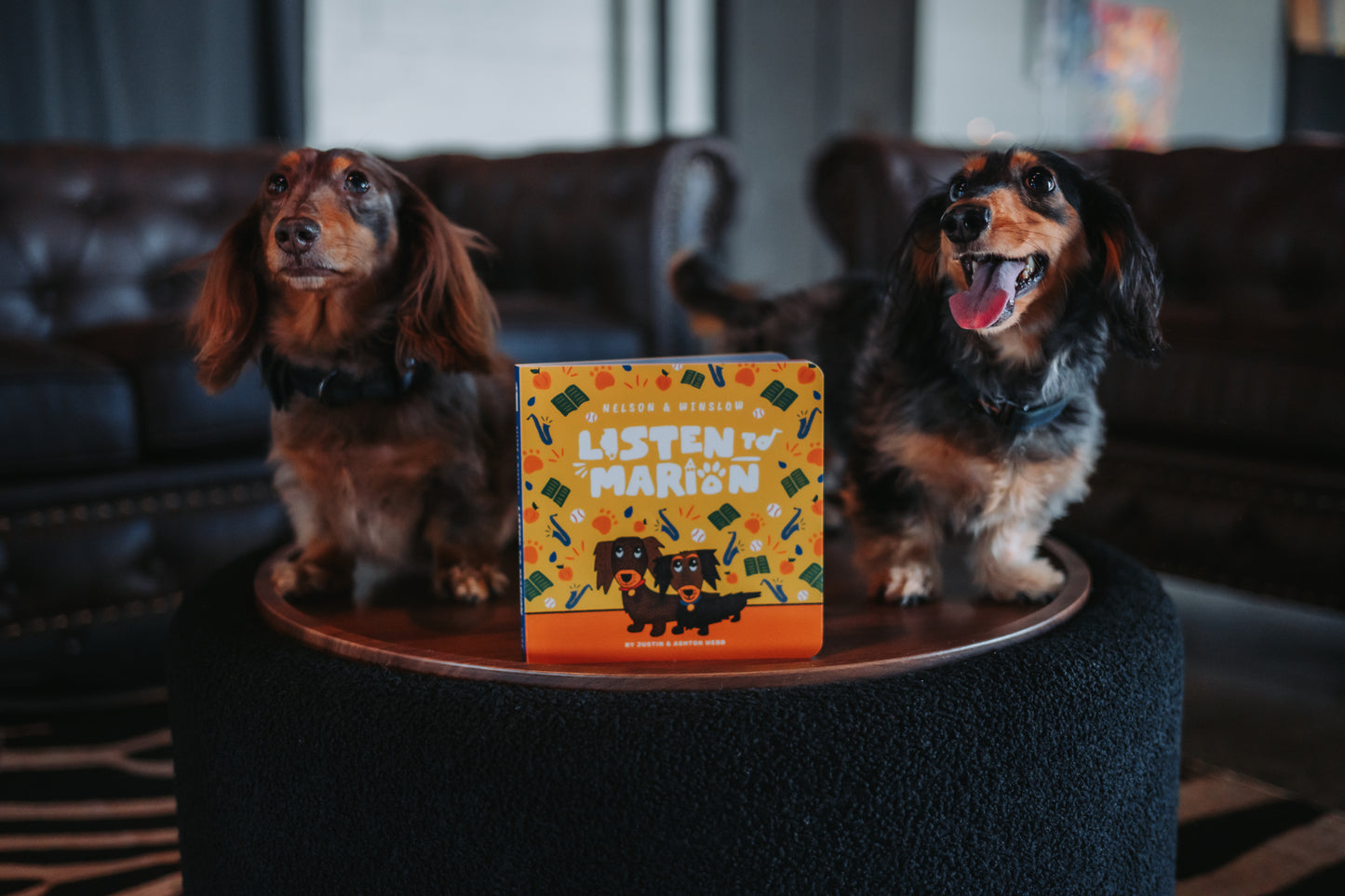 Listen to Marion Board Book